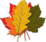 Red, Orange, Yellow and Green Leaves